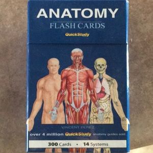 Anatomy flash cards